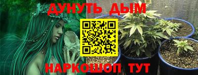 крисы Бузулук