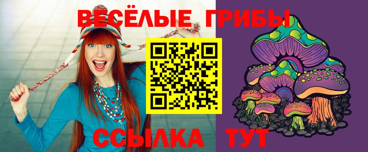 продажа наркотиков  Вход с VPN  Галлюциногенные грибы GOLDEN TEACHER  Сокол  Псилоцибиновые грибы ЛСД 