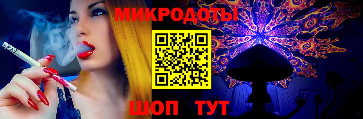 Псилоцибиновые грибы мицелий Сокол